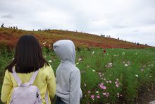 ひたち海浜公園