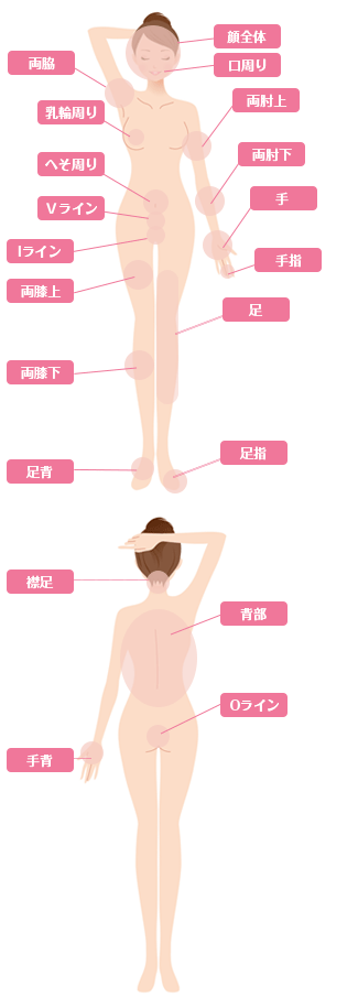 医療レーザー脱毛の価格表